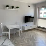 Olin B - Angielska Grobla Apartment Danzig
